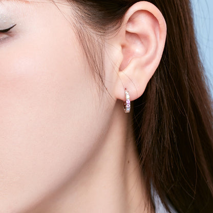 [Luxe Jewelry]Radiant Colorful Round Cut Earrings